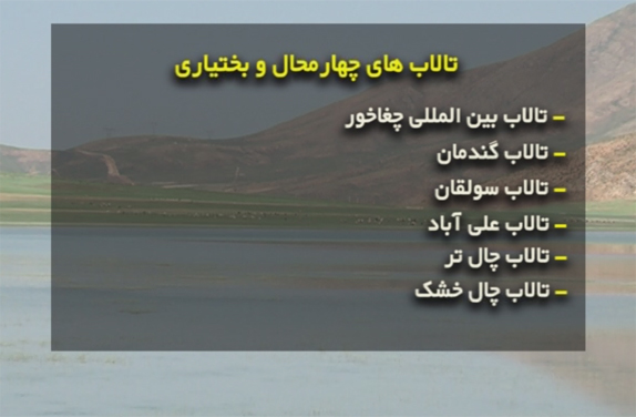 تالاب علی آباد پس از ۱۰ سال احیا شد