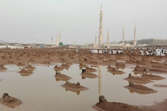 گزارشی از جنایت آل سعود