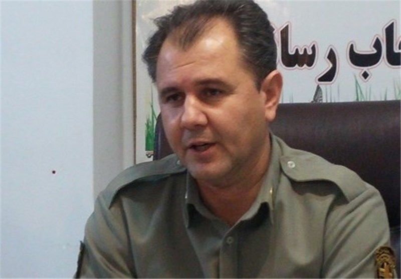 ۱۷ درصد تنوع زیست محیطی کشور در استان ایلام
