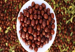 پیشرو در تولید عناب، اما گمنام