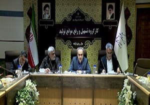 انتقاد از سود بالای تسهیلات رونق تولید