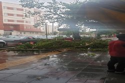 بارش باران همراه با تندباد در ارومیه/معابر دچار آبگرفتگی شد