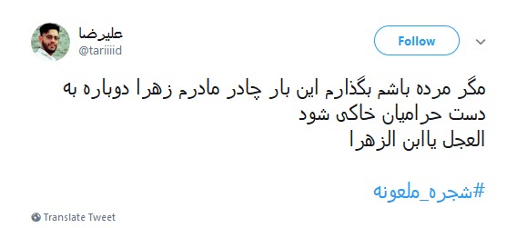 #شجره_ملعونه /دیر نباشد که انتقام هتک حرمت قبور بقیع را خواهیم گرفت +تصاویر