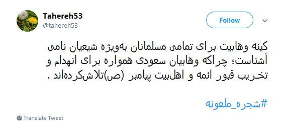 #شجره_ملعونه /دیر نباشد که انتقام هتک حرمت قبور بقیع را خواهیم گرفت +تصاویر