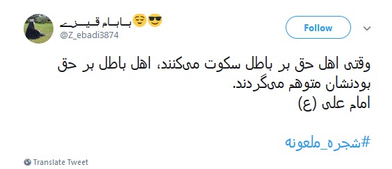#شجره_ملعونه /دیر نباشد که انتقام هتک حرمت قبور بقیع را خواهیم گرفت +تصاویر
