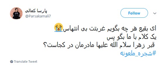#شجره_ملعونه /دیر نباشد که انتقام هتک حرمت قبور بقیع را خواهیم گرفت +تصاویر