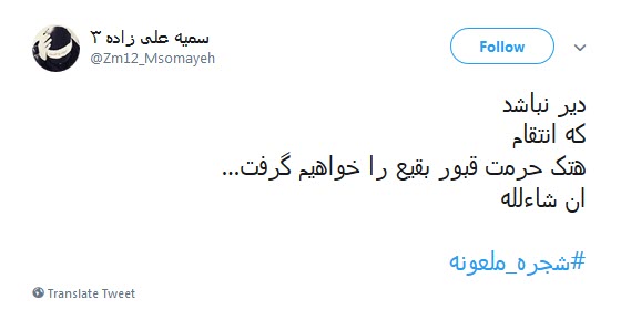 #شجره_ملعونه /دیر نباشد که انتقام هتک حرمت قبور بقیع را خواهیم گرفت +تصاویر