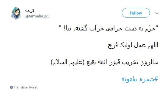 #شجره_ملعونه /دیر نباشد که انتقام هتک حرمت قبور بقیع را خواهیم گرفت +تصاویر
