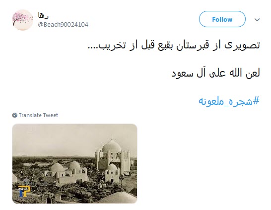 #شجره_ملعونه /دیر نباشد که انتقام هتک حرمت قبور بقیع را خواهیم گرفت +تصاویر