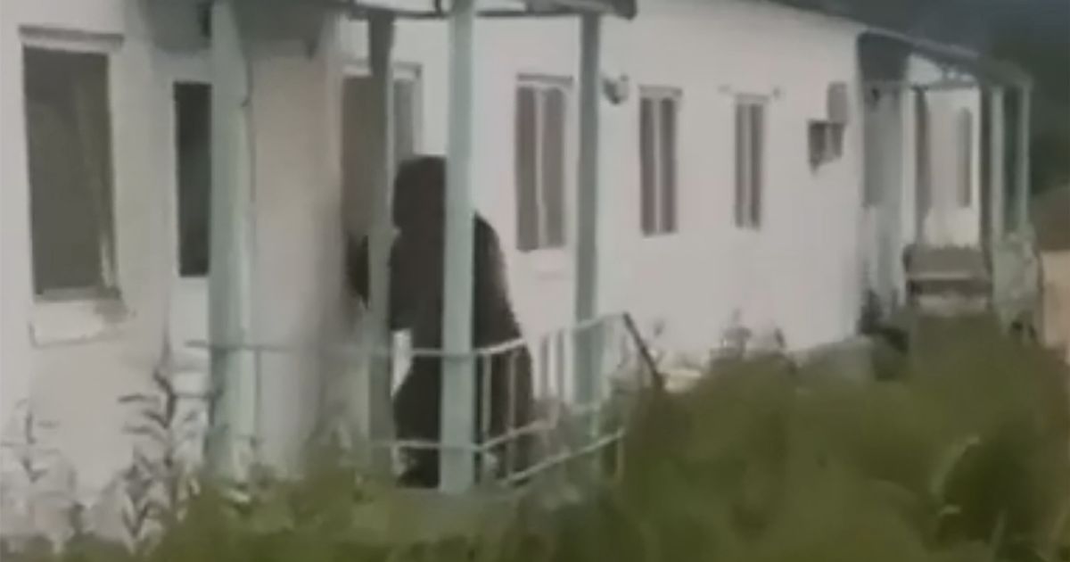 لحظه حمله خرس قهوه ای به سالن غذاخوری کارخانه! + فیلم///