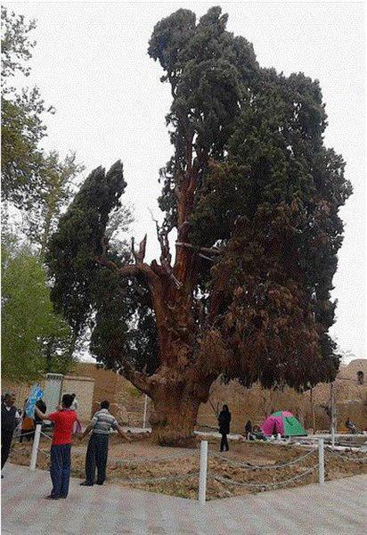 سفر به شهرستانی که به دست یک شاهزاده خانم آباد شد+تصاویر