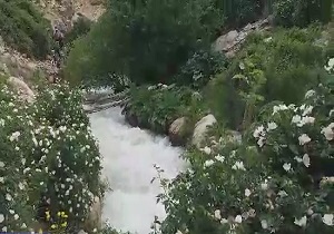 نگاهی به طبیعت دل‌انگیز روستای «خفر» + فیلم