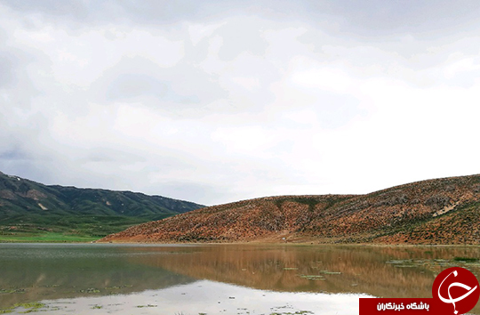 تصاویری زیبا از تالاب بین&zwnj;المللی چغاخور