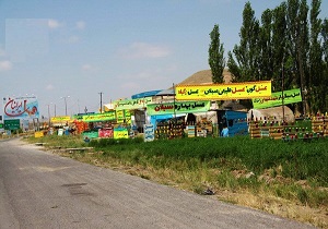 تشدید برخورد با عسل فروشی‌های غیرمجاز در حریم جاده‌های اردبیل