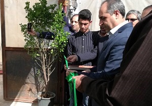 بهره برداری از ۳۳ پروژه بخش کشاورزی در قم