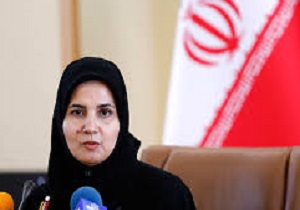 کاظمی/ اطلاعی از برگزاری انتخابات شورایاری در سال جاری ندارم