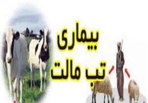 ابتلای ۱۵۳ نفر در استان به تب مالت در سالی که گذشت
