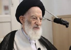 دیدار سرپرست حجاج ایرانی با آیت&zwnj;الله شبیری زنجانی