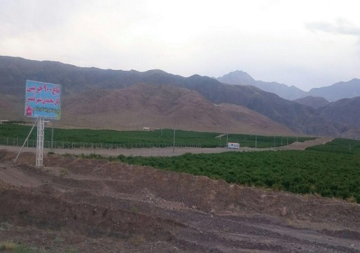 گلابِ چینی، غیر خوراکی و برای محصولات آرایشی است