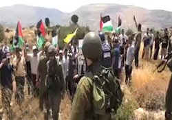 سکوت جامعه جهانی در قبال ساخت دیوار حائل + فیلم