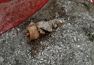 کشف بمب جنگ جهانی دوم در برلین