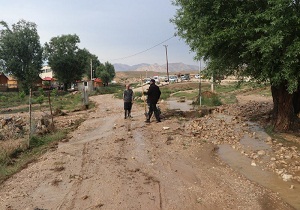 خسارت بارندگی در دامغان