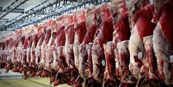 توانایی خودکفایی در تولید گوشت قرمز وجود دارد/ صادرات گام بعدی است