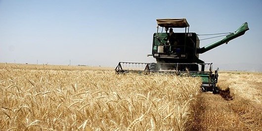 ۳ مرکز خرید گندم در شهرستان آرادان در نظر گرفته شده است