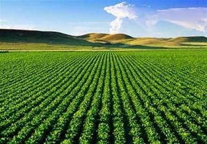 بهره برداری از ۷ طرح کشاورزی در همدان