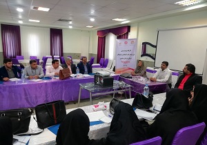 اجرای طرح مانا در تمامی شهرستان‌های خراسان جنوبی