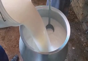 مراحل پخت غذای زمستانی ترخینه در نهاوند + فیلم