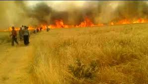 ۶۰۰ هکتار از مزارع استان ایلام طعمه حریق شد