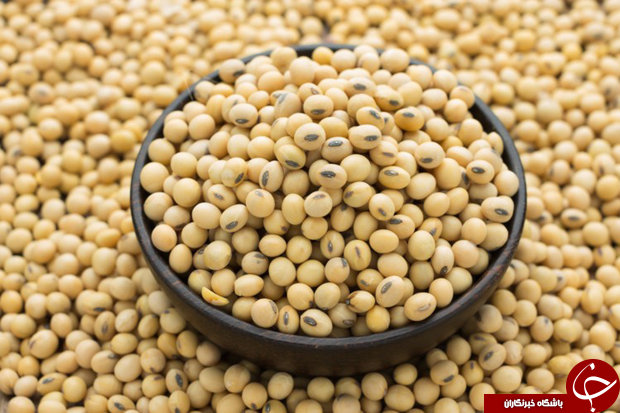 طرز تهیه کتلت سویا کاملا گیاهی یک غذای کاملا گیاهی طرز تهیه کتلت سویا کاملا گیاهی یک غذای کاملا گیاهی