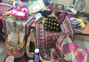 بهره برداری از خانه صنایع دستی در حاجی آباد