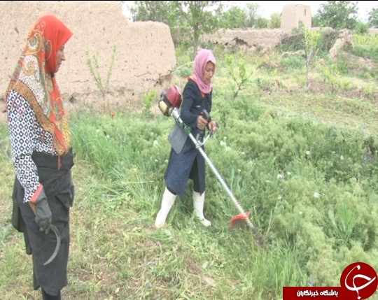 صندوق خرد زنان روستایی حلال مشکلات اشتغالزایی