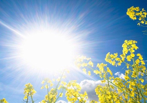 وقوع دما&zwnj;های بالای ۴۹ درجه در خوزستان سابقه دار است/پیک بار مصرف برق، یکماه زودتر از سال گذشته رخ داد