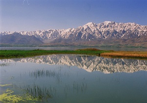 زندگی دوباره یک تالاب با بارش باران + فیلم