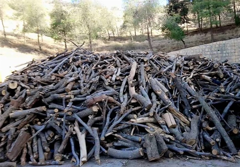 کشف محموله چوب قاچاق در دامغان