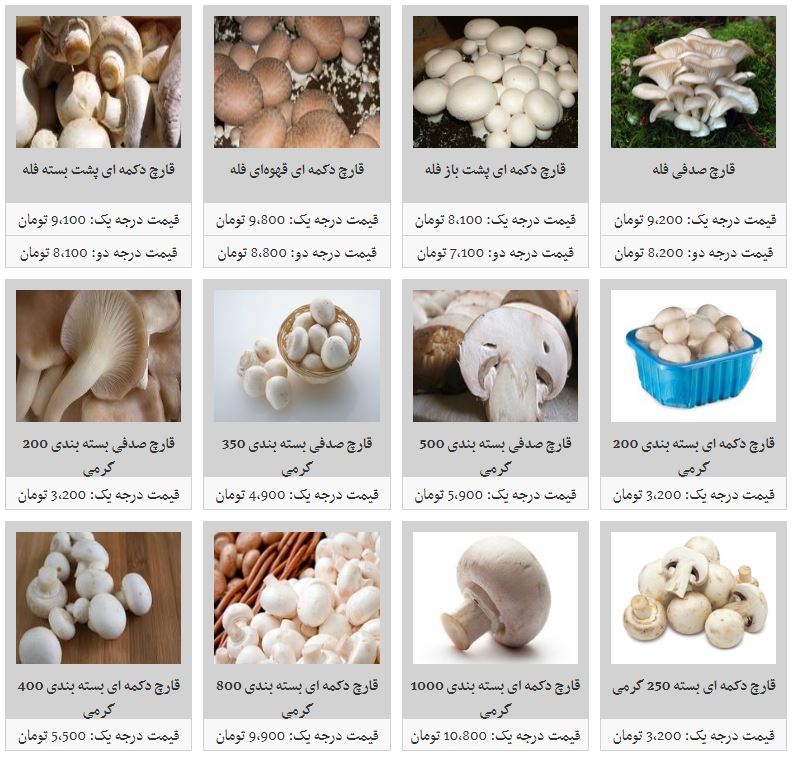 افزایش قیمت قارچ در غرفه تره بار