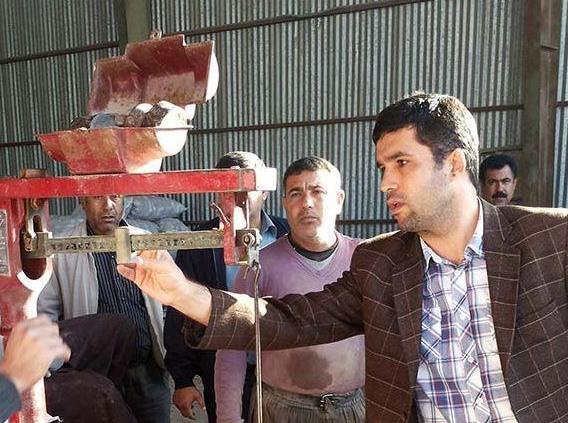 سنجش ترازو‌های مراکز خرید پیله‌تر ابریشم