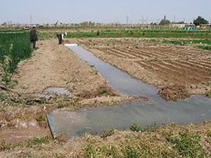 آغاز عملیات اجرایی زهکشی ۳۰ هزار هکتار از اراضی گلستان