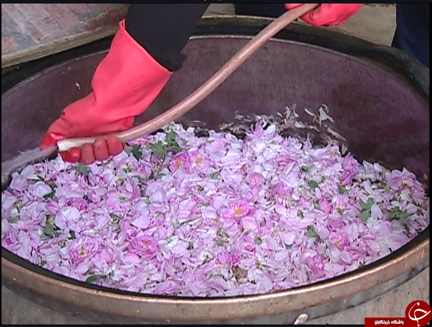 روایتی از یک تعاونی به بلندای همت زنان سرپرست خانوار / گروه&zwnj;های همیار راهکار توانمند سازی زنان سرپرست خانوار
