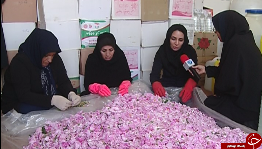 روایتی از یک تعاونی به بلندای همت زنان سرپرست خانوار / گروه&zwnj;های همیار راهکار توانمند سازی زنان سرپرست خانوار