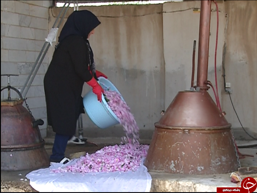روایتی از یک تعاونی به بلندای همت زنان سرپرست خانوار / گروه&zwnj;های همیار راهکار توانمند سازی زنان سرپرست خانوار