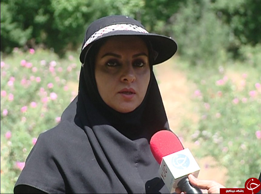 روایتی از یک تعاونی به بلندای همت زنان سرپرست خانوار / گروه&zwnj;های همیار راهکار توانمند سازی زنان سرپرست خانوار