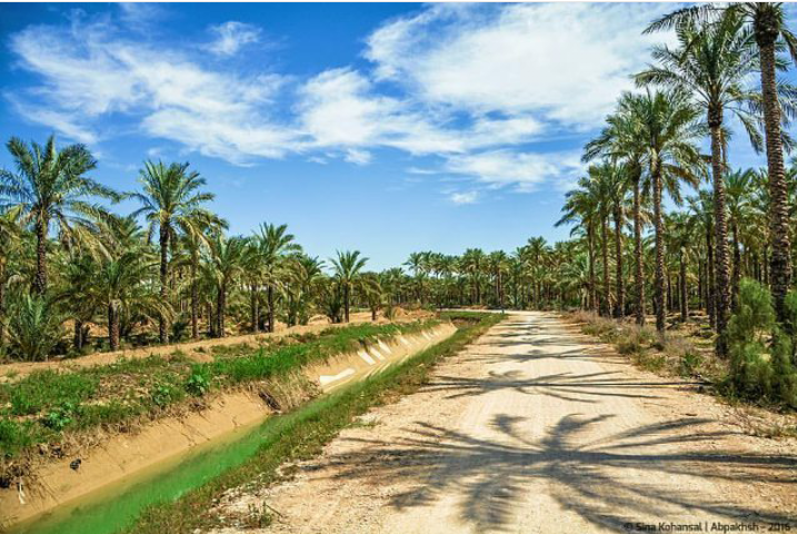 کانال‌های آبیاری بخش سعدآباد با مشارکت کشاورزان بتنی می‌شوند