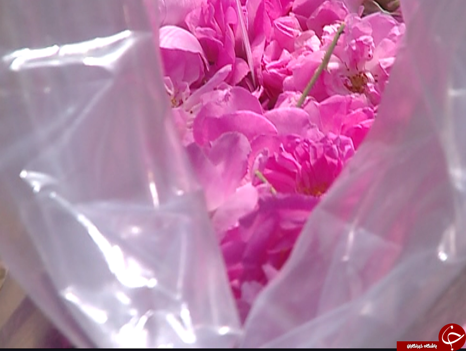 روایتی از یک تعاونی به بلندای همت زنان سرپرست خانوار / گروه&zwnj;های همیار راهکار توانمند سازی زنان سرپرست خانوار