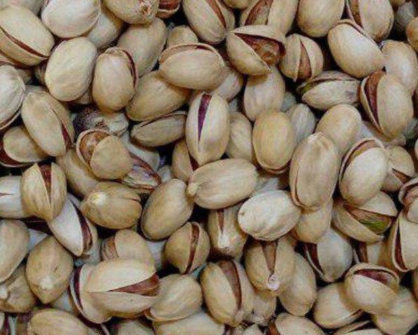 ۱۵ هزار هکتار در شهربابک سطح زیر کشت پسته است