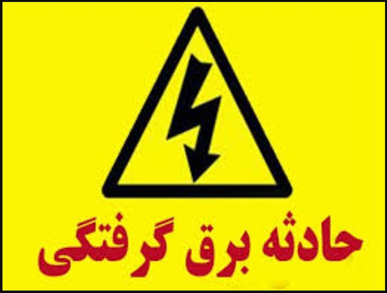 برق جان سارق حرفه&zwnj;ای را گرفت