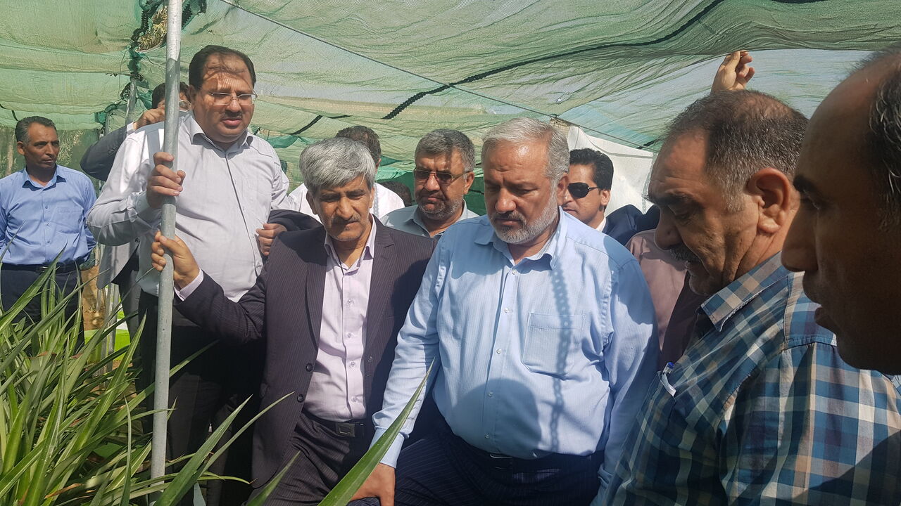 چابهار گلخانه طبیعی ایران است